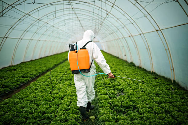 Best Best Pest Control Companies  in Breckenridge, MI