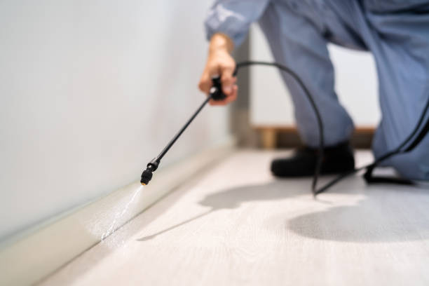 Best Insect Control  in Breckenridge, MI