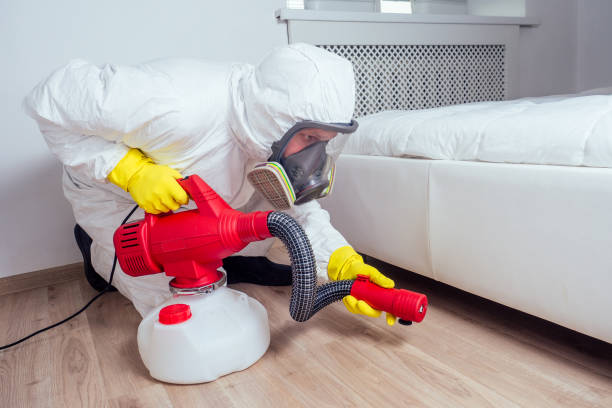 Best Pest Control Near Me  in Breckenridge, MI