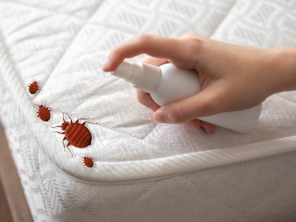 Best Affordable Pest Control Services  in Breckenridge, MI